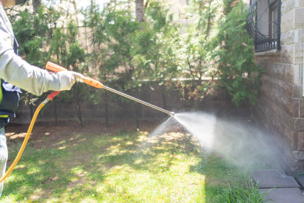 Best Exterminator Services  in Fort Pierce South, FL