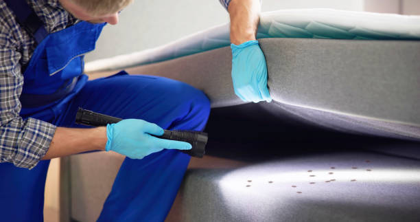 Best Rat Extermination Near Me  in Fort Pierce South, FL